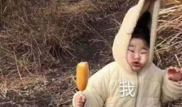 沙雕吃瓜爆料图片大全,揭秘娱乐圈幕后真相