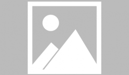 纵横四海电视剧在线看,传奇冒险，四海为家