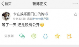 爆料吃瓜都是怎么来的,从网络热词到全民娱乐现象